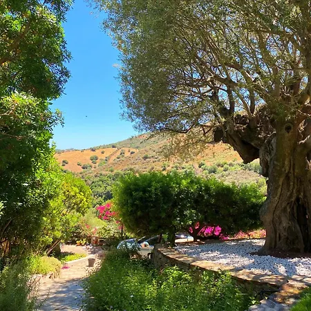 Mariposa Exclusive Private Pool Вилла