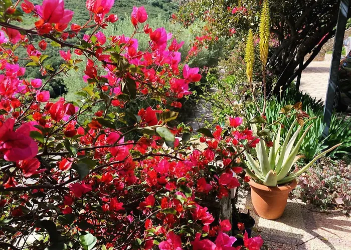 Вилла Mariposa Exclusive Private Pool